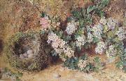 William Henry Hunt,OWS Chaffinch Nest and  May Blossom (mk46) Germany oil painting artist